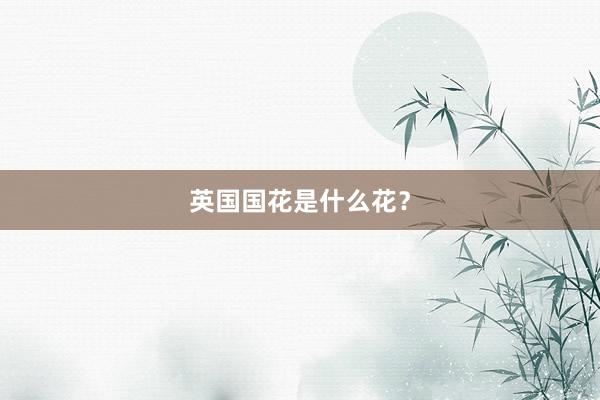 英国国花是什么花？